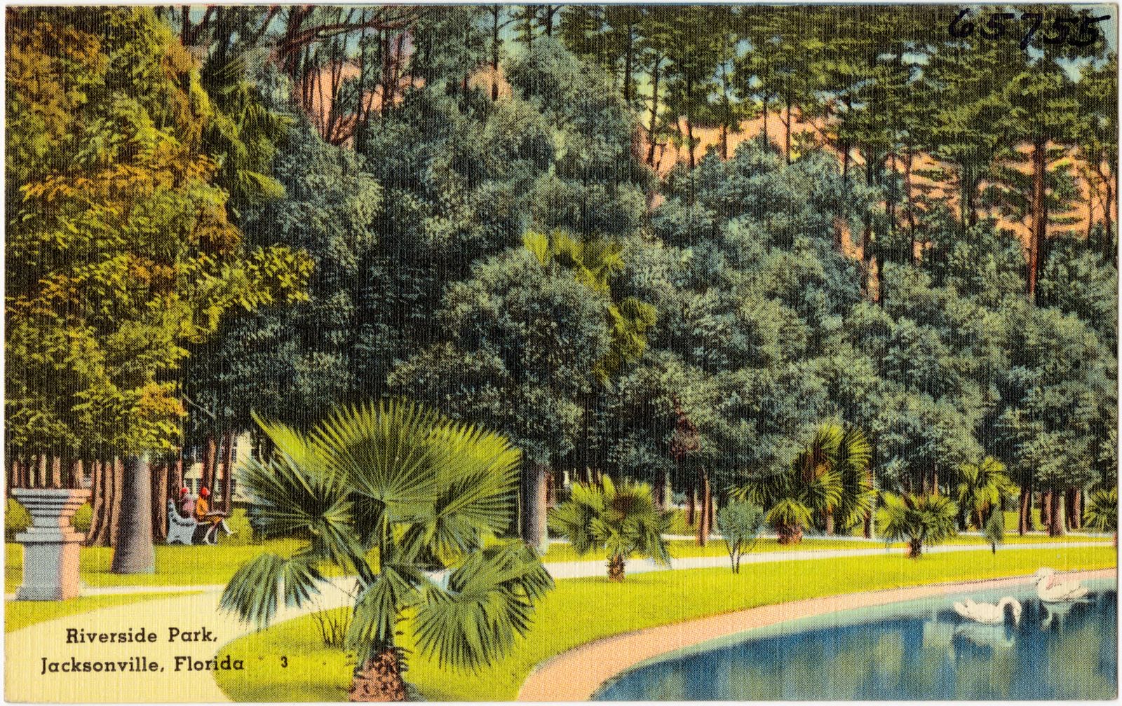 Riverside Park, Jacksonville, Fla., Boston Public Library - undated