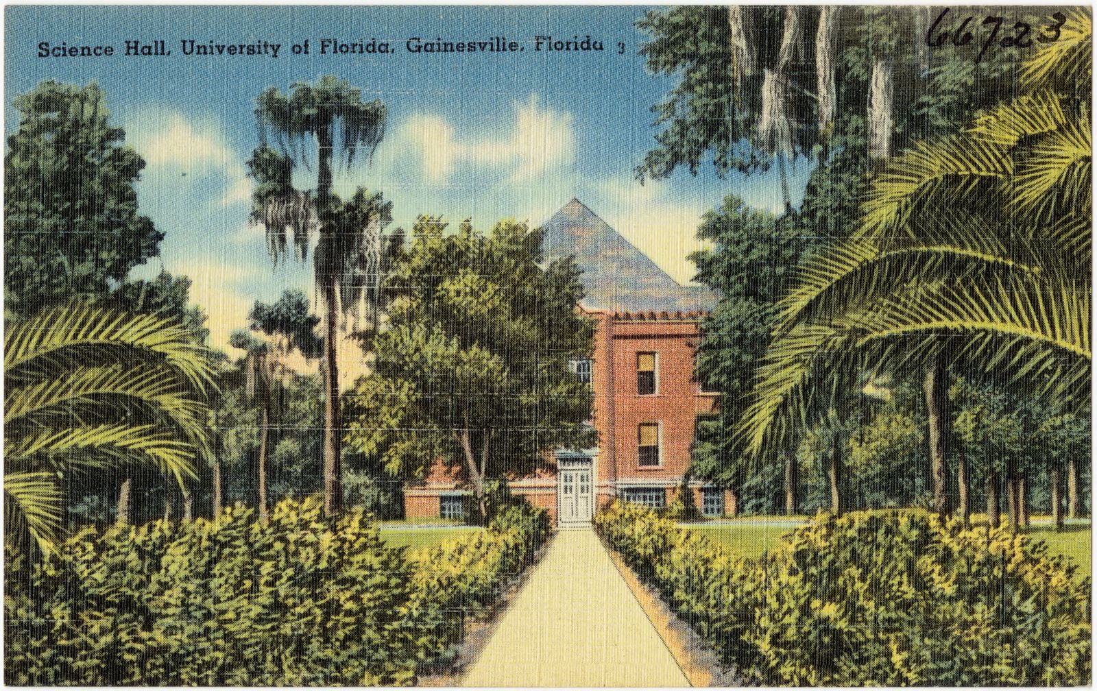 Science Hall, University of Florida, Gainesville, Florida, Boston Public Library - undated