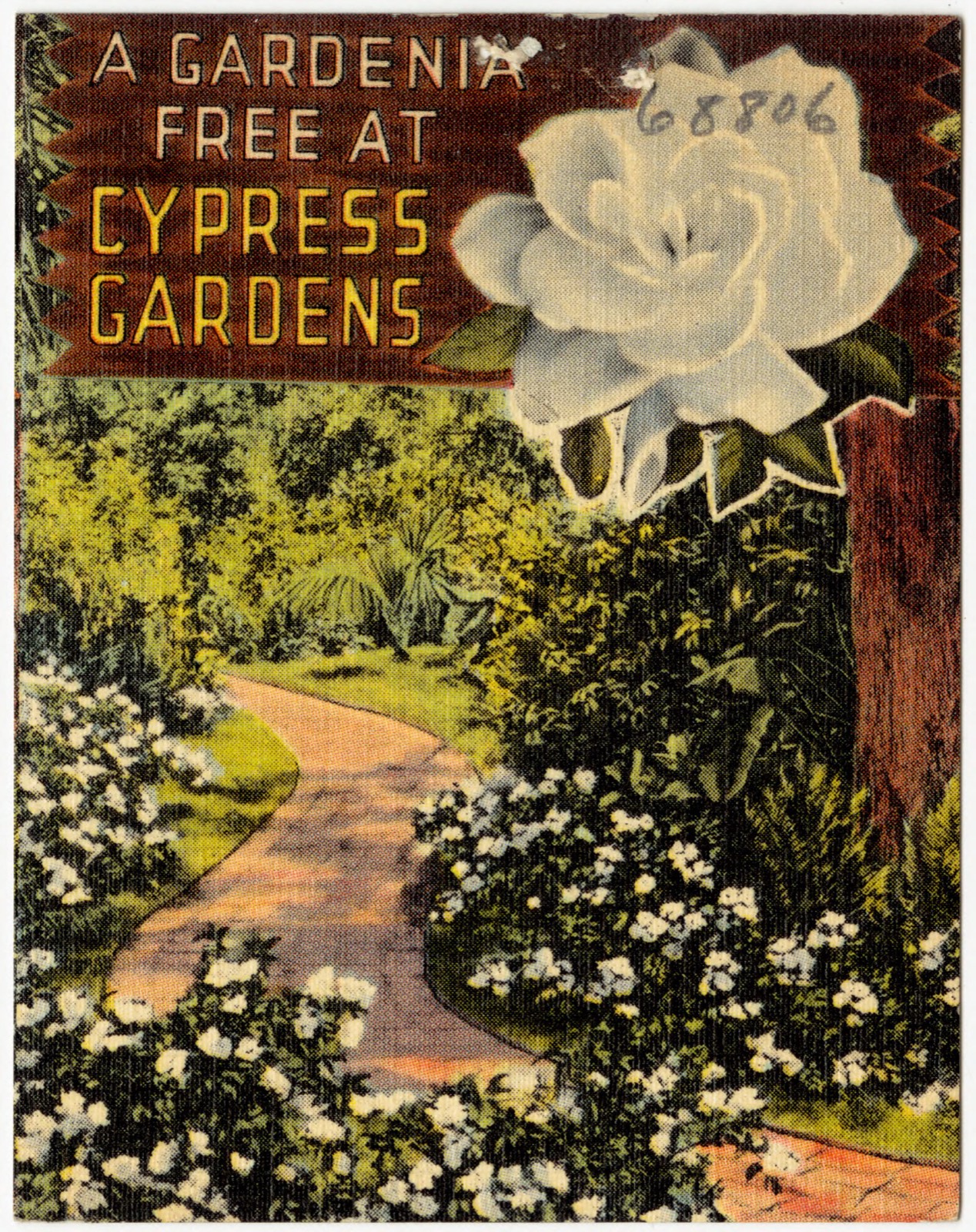 A gardenia free at cypress gardens, Boston Public Library - undated