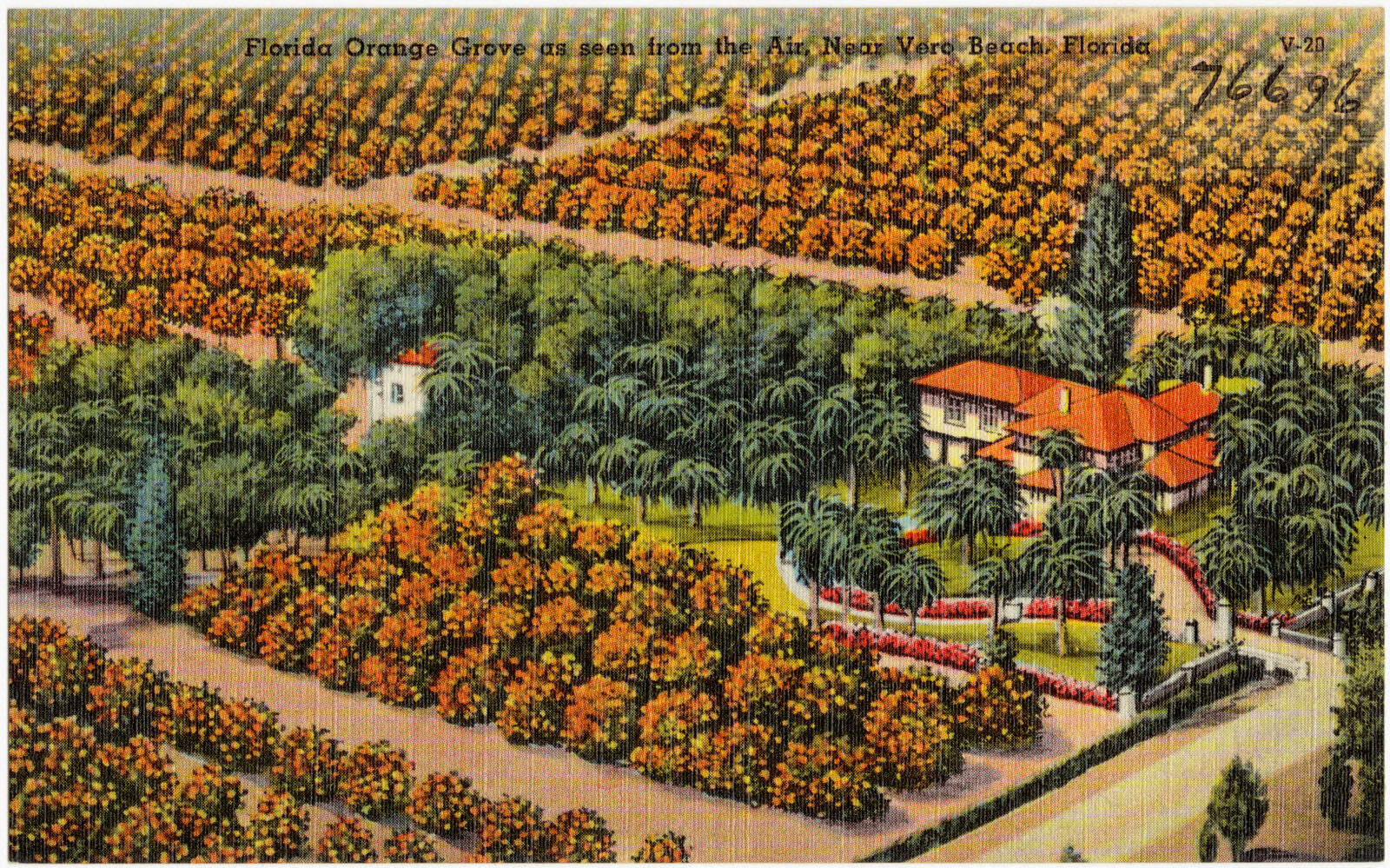 Florida orange grove as seen from the air, near Vero Beach, Florida, Boston Public Library - undated
