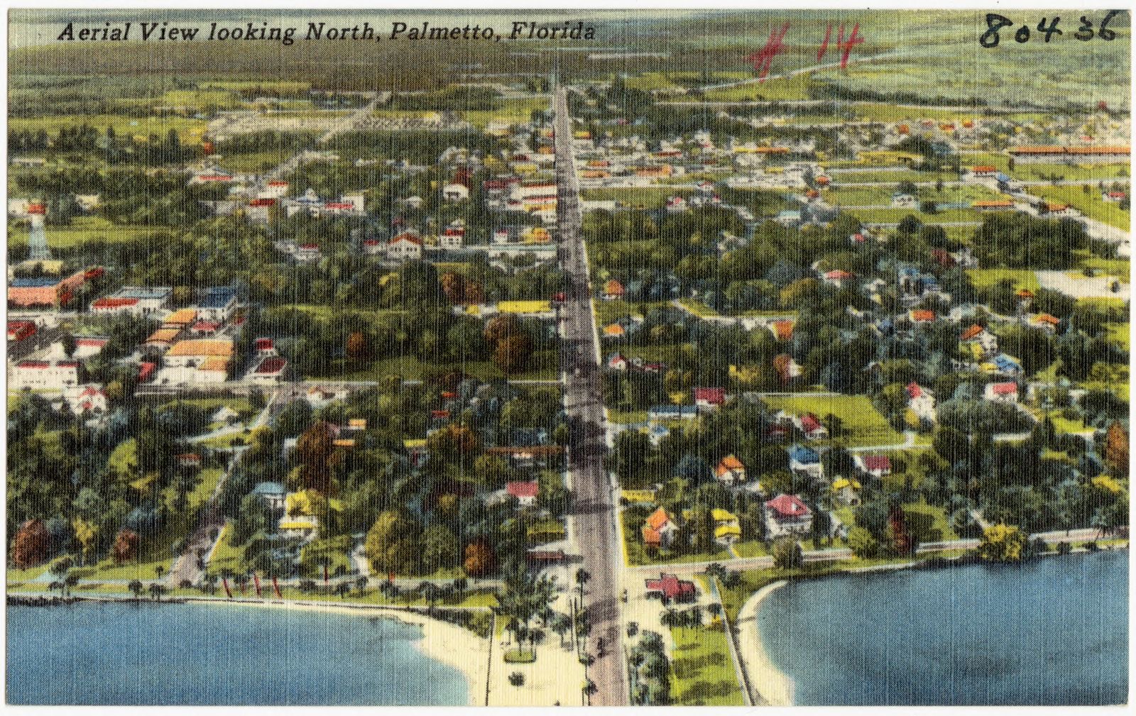 Aerial view looking north, Palmetto, Florida, Boston Public Library - undated