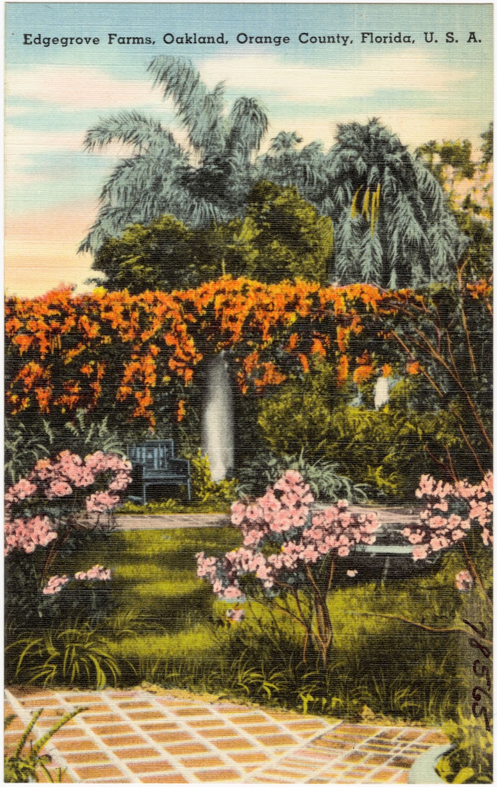 Edgegrove Farms, Oakland, Orange County, Florida, U.S.A., Boston Public Library - undated
