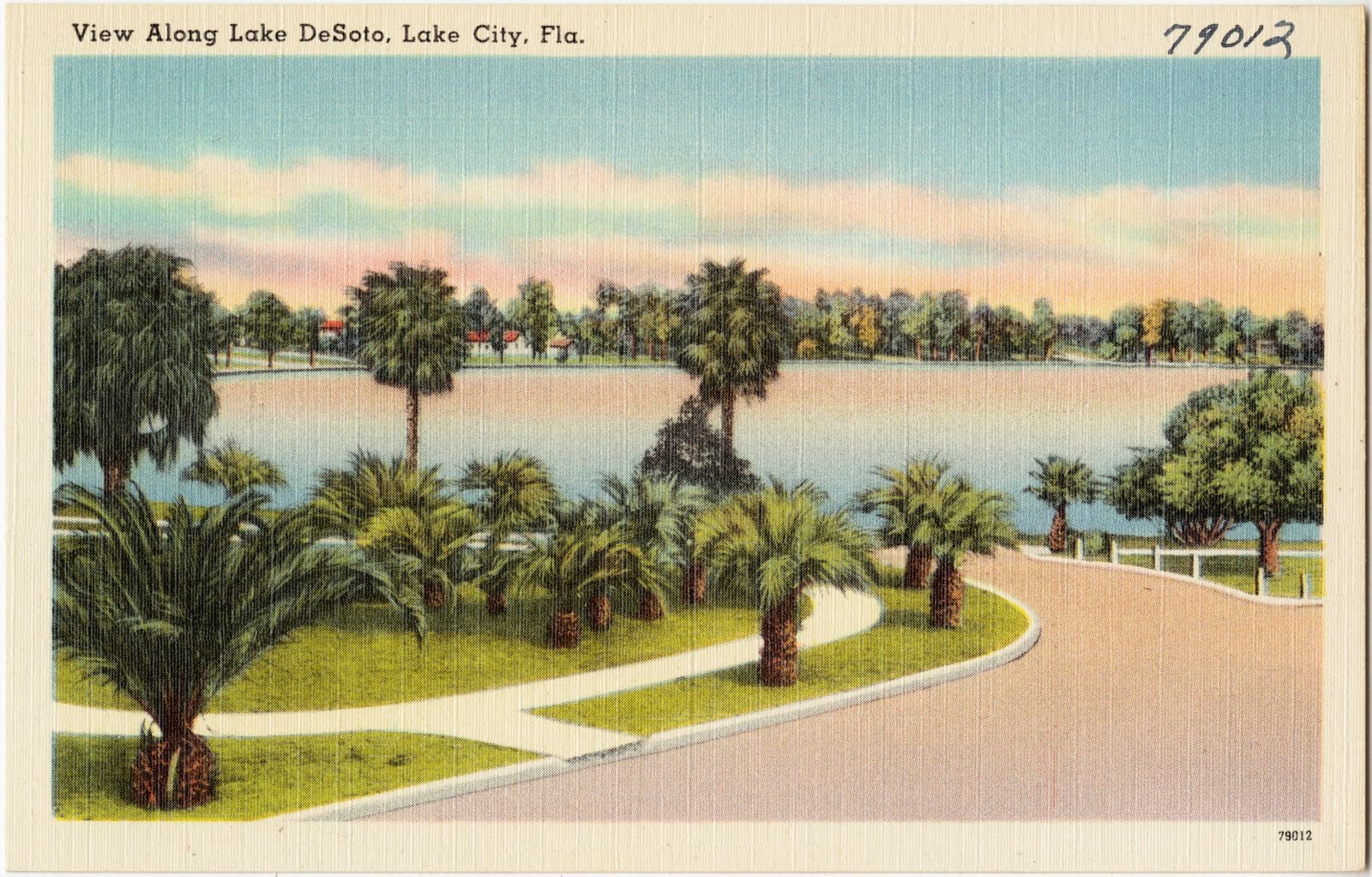 View along Lake DeSoto, Lake City, Fla., Boston Public Library - undated