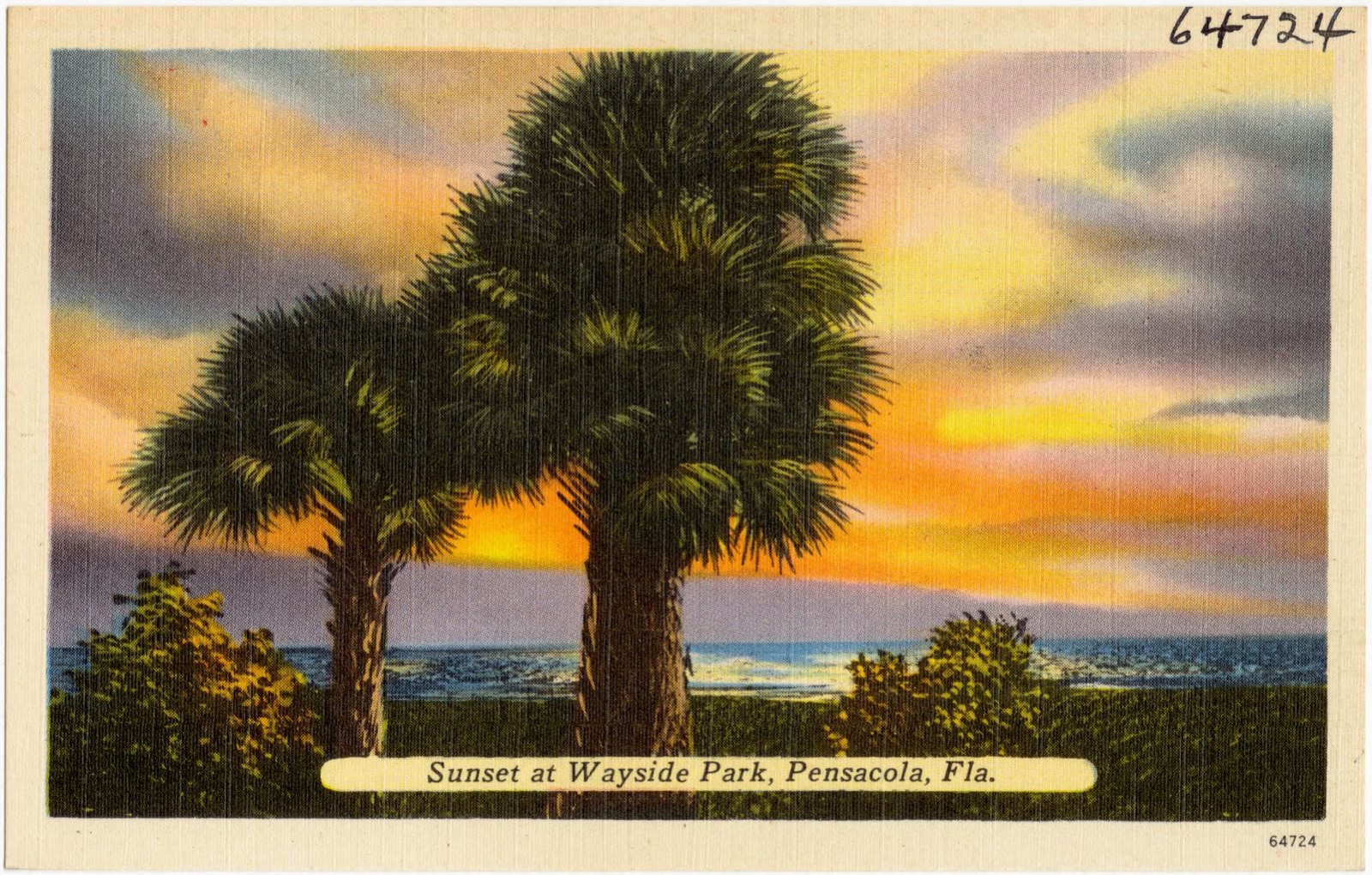 Sunset at Wayside Park, Pensacola, Florida, Boston Public Library - undated