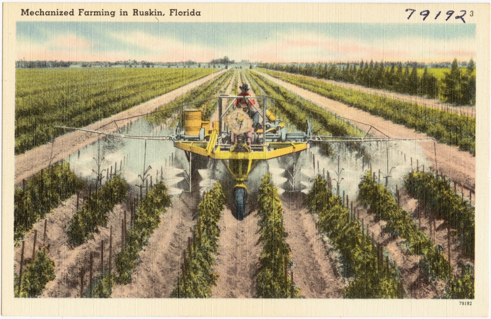 Mechanized farming in Ruskin, Florida, Boston Public Library - undated