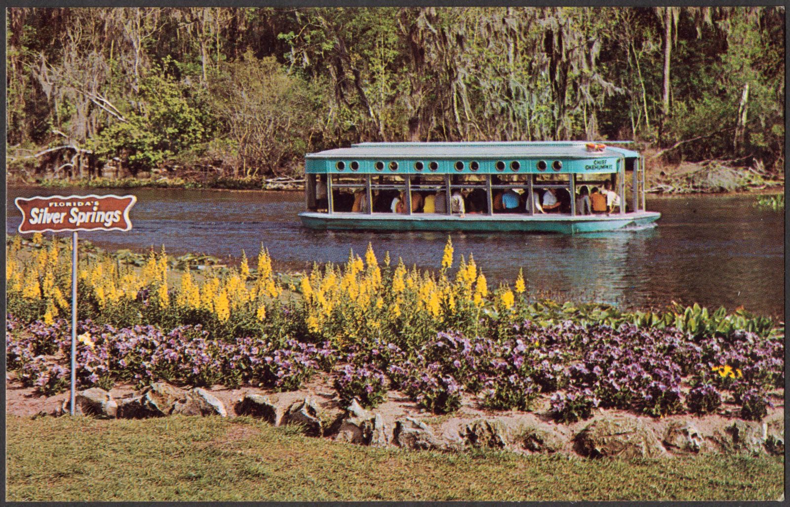 Visitors to famous Silver Springs get an intimate view of the underwater wonderland through the glass bottom boats, Boston Public Library - undated