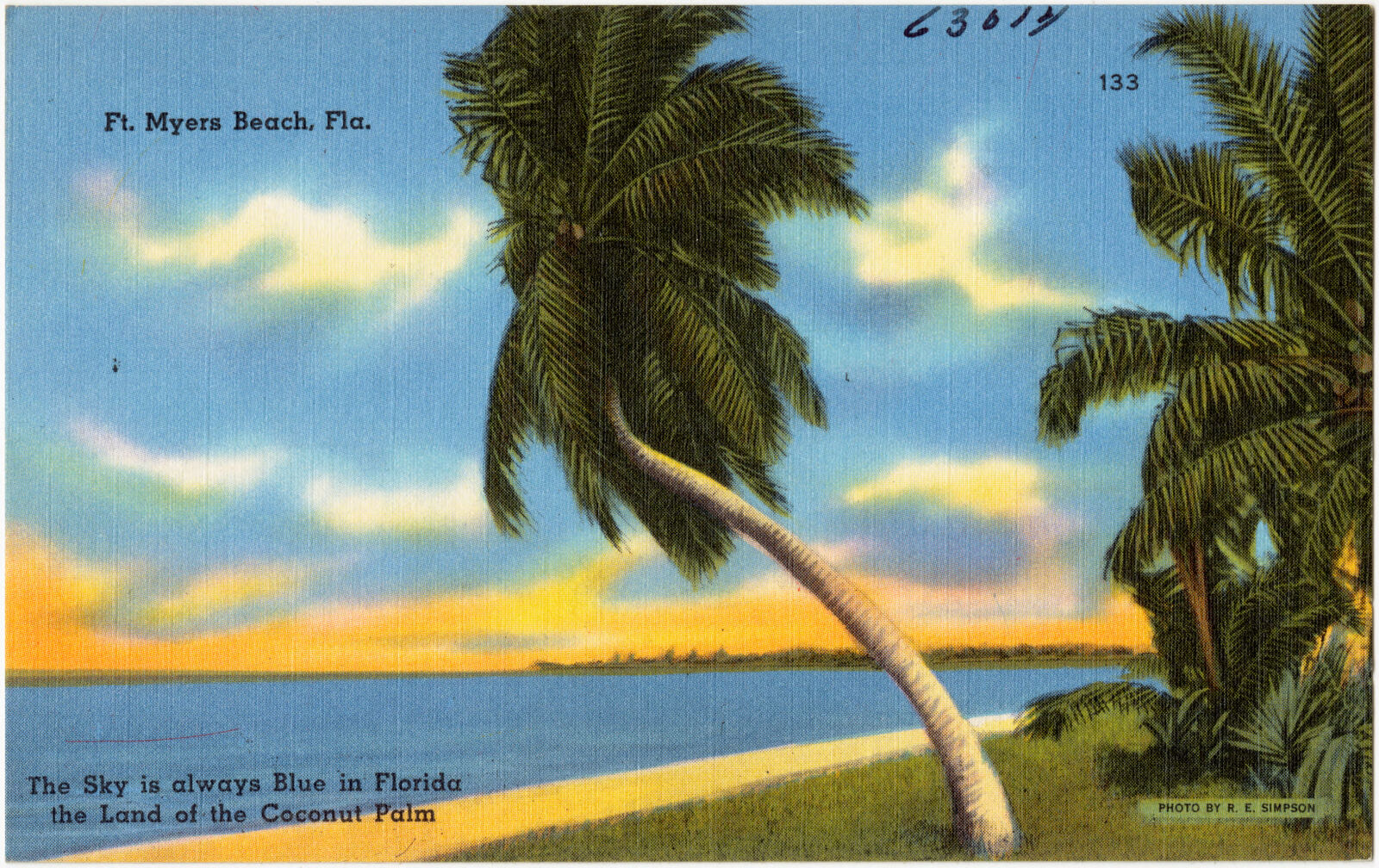 Ft. Myers Beach, Fla. The Sky is always blue in Florida, the land of the coconut palm., Boston Public Library - undated