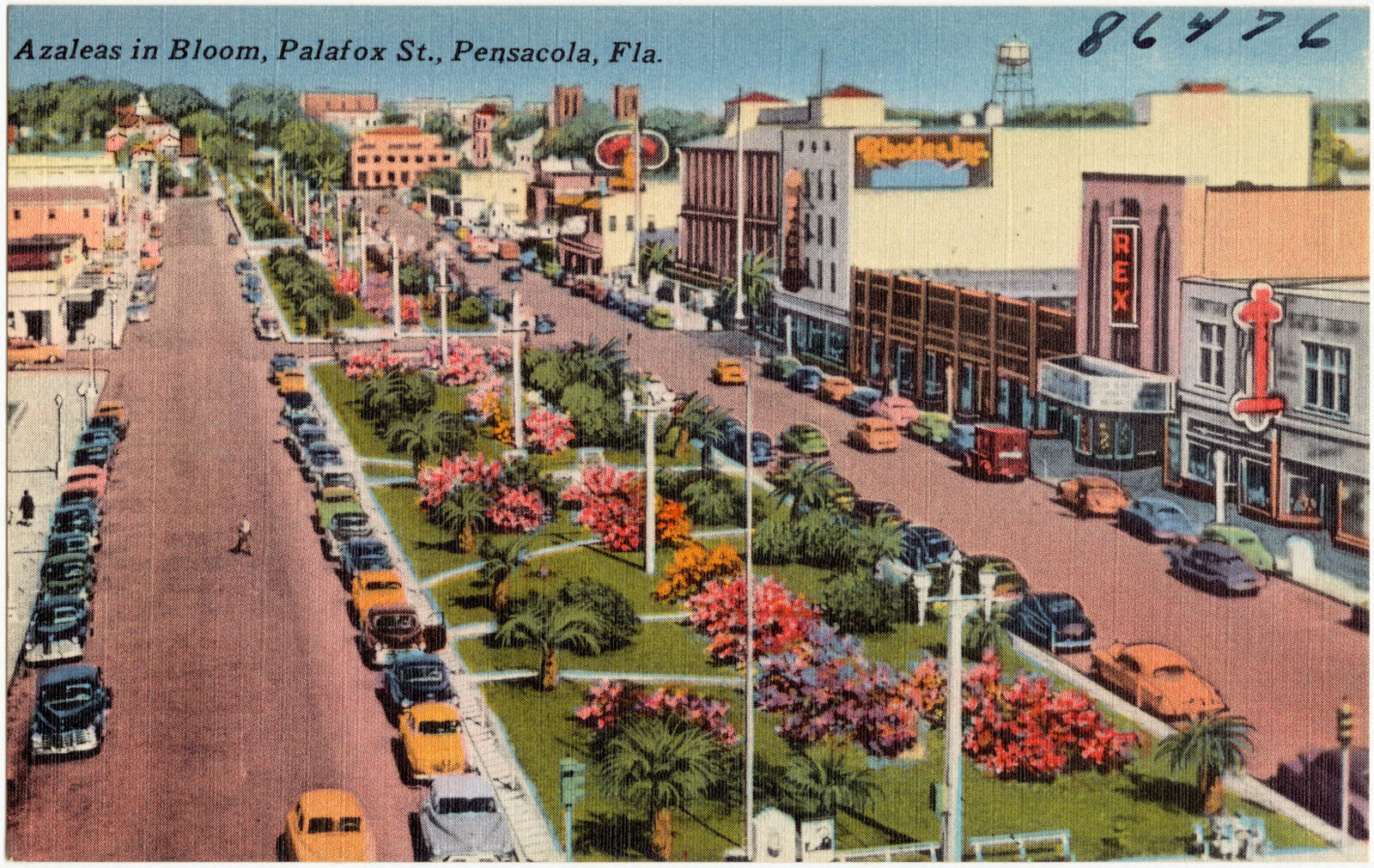 Azaleas in bloom, Palafox St., Pensacola, Florida, Boston Public Library - undated