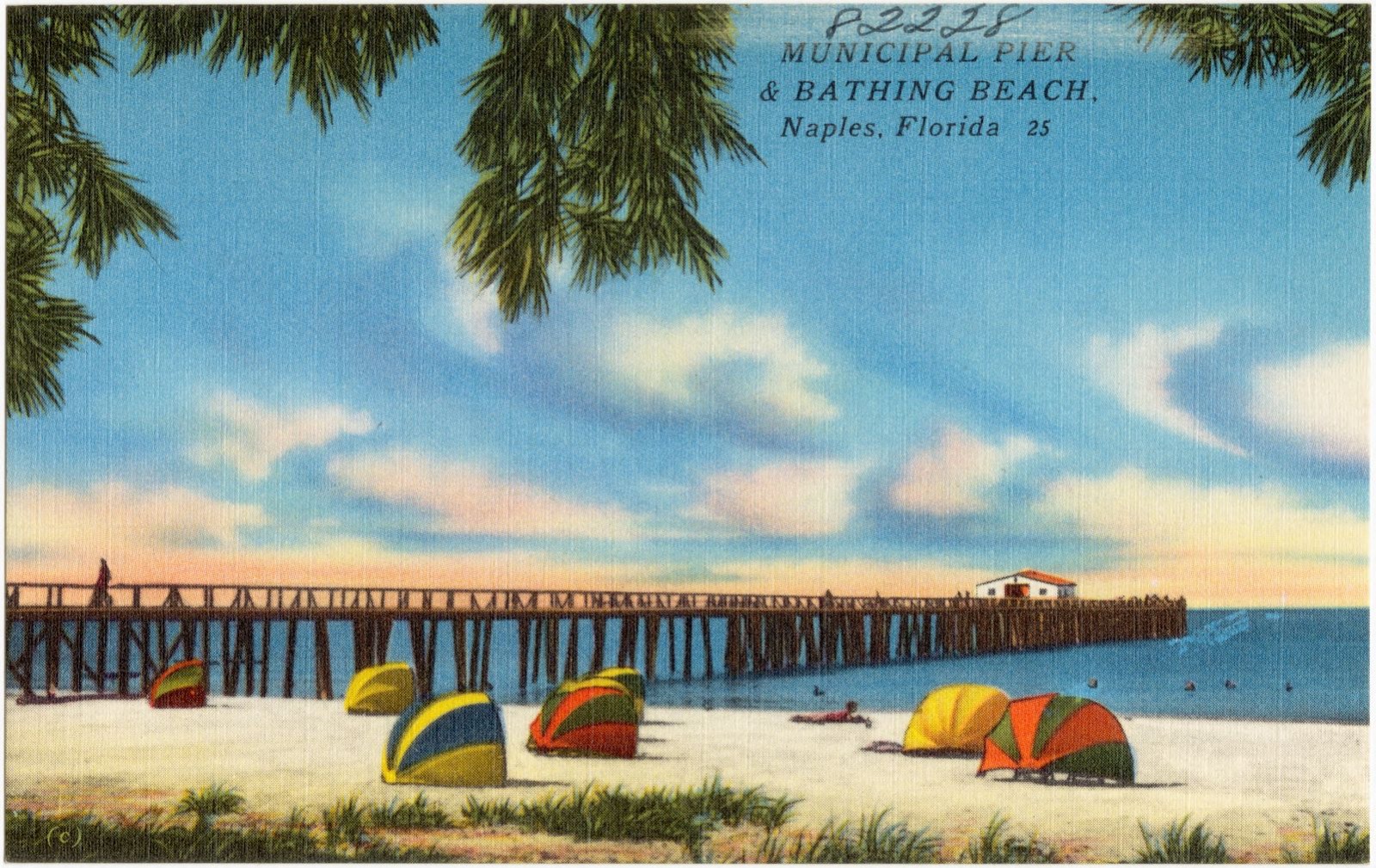 Municipal Pier and bathing beach, Napes, Florida, Boston Public Library - undated
