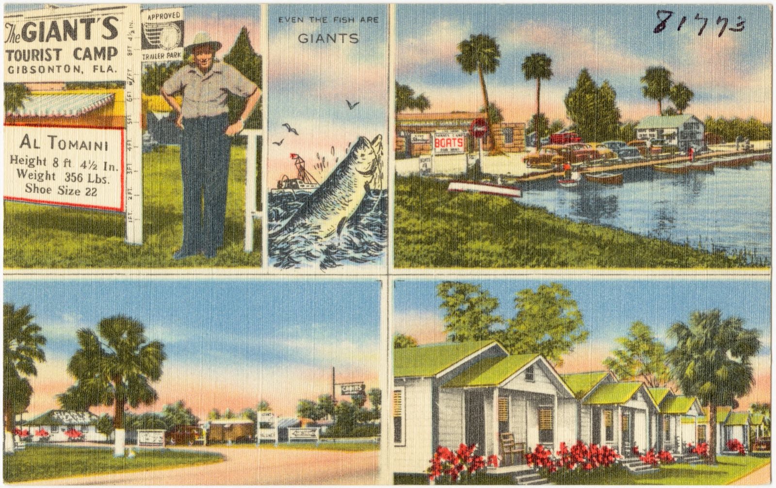 The Giant's Tourist Camp, Gibsonton, Fla., Boston Public Library - undated