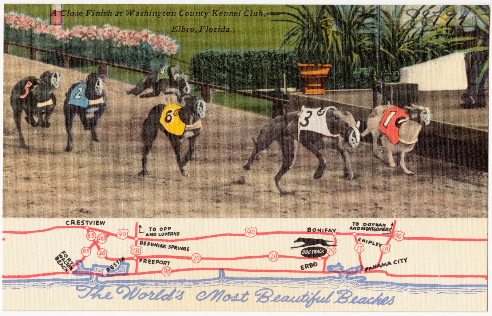 The world's most beautiful beaches. A close finish at Washington County Kennel Club, Elbro, Florida, Boston Public Library - undated