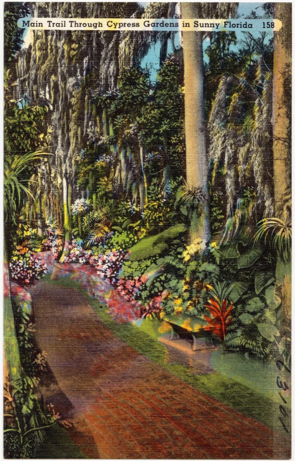 Main trail through cypress gardens in sunny Florida, Boston Public Library - undated