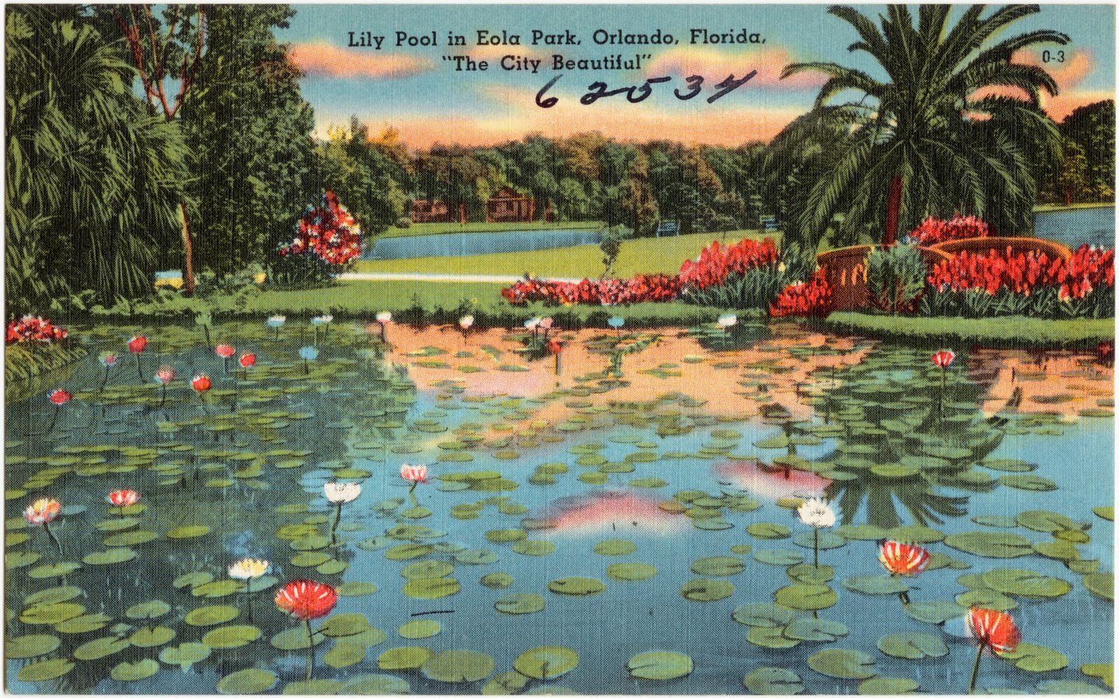 Lily pool in Eola Park, Orlando, Florida, "the city beautiful", Boston Public Library - undated