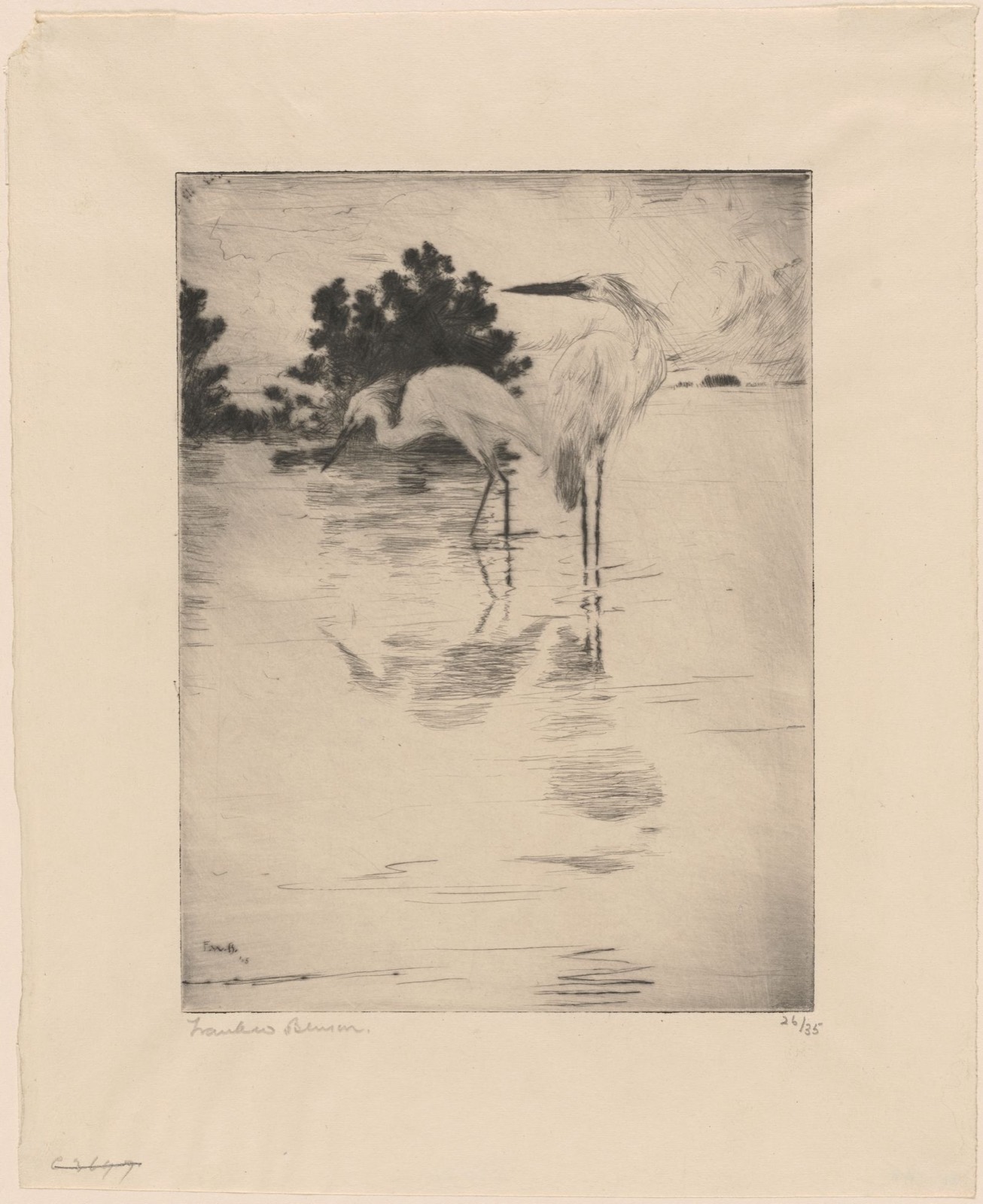 Egrets, Boston Public Library - undated