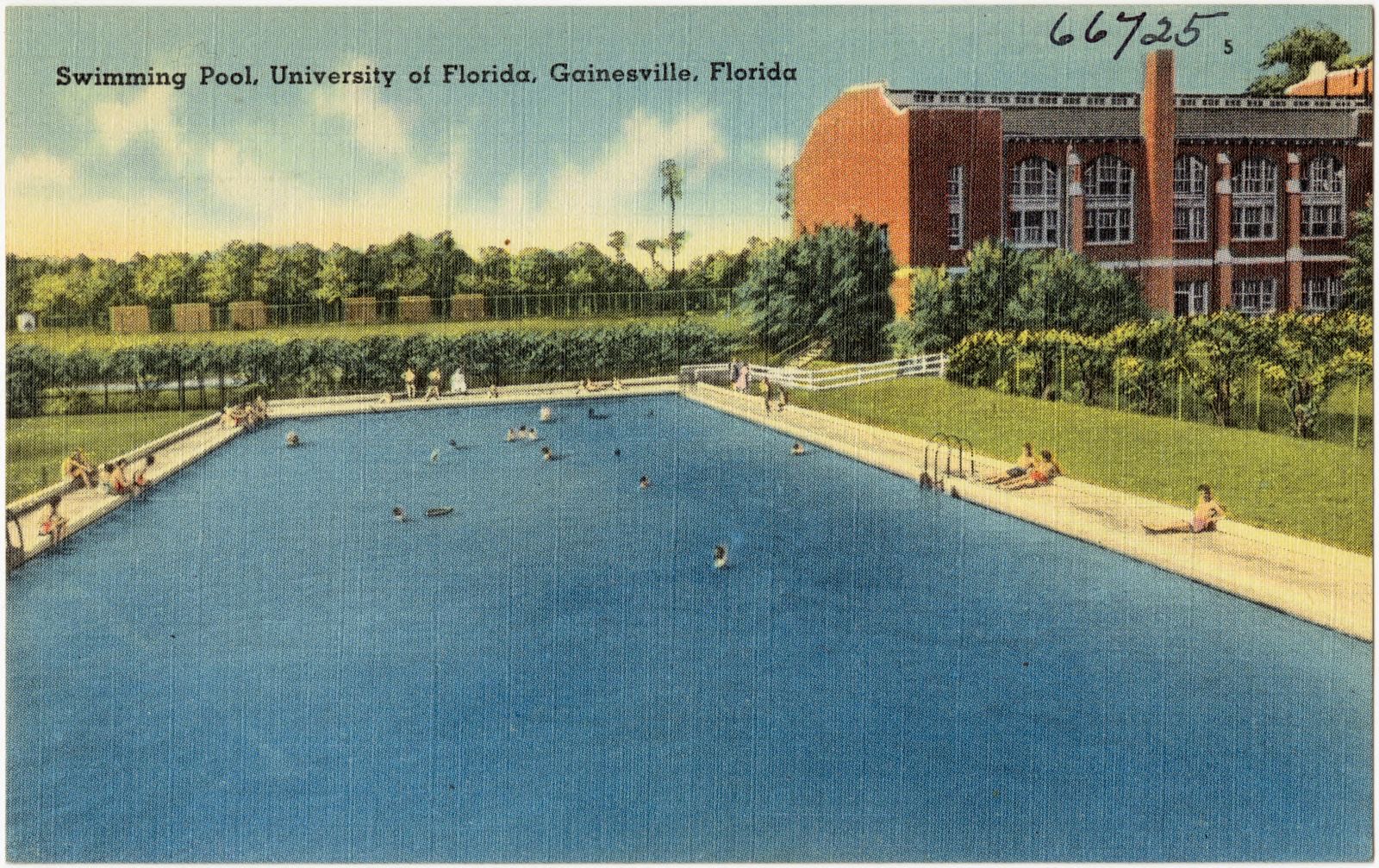 Swimming pool, University of Florida, Gainesville, Florida, Boston Public Library - undated