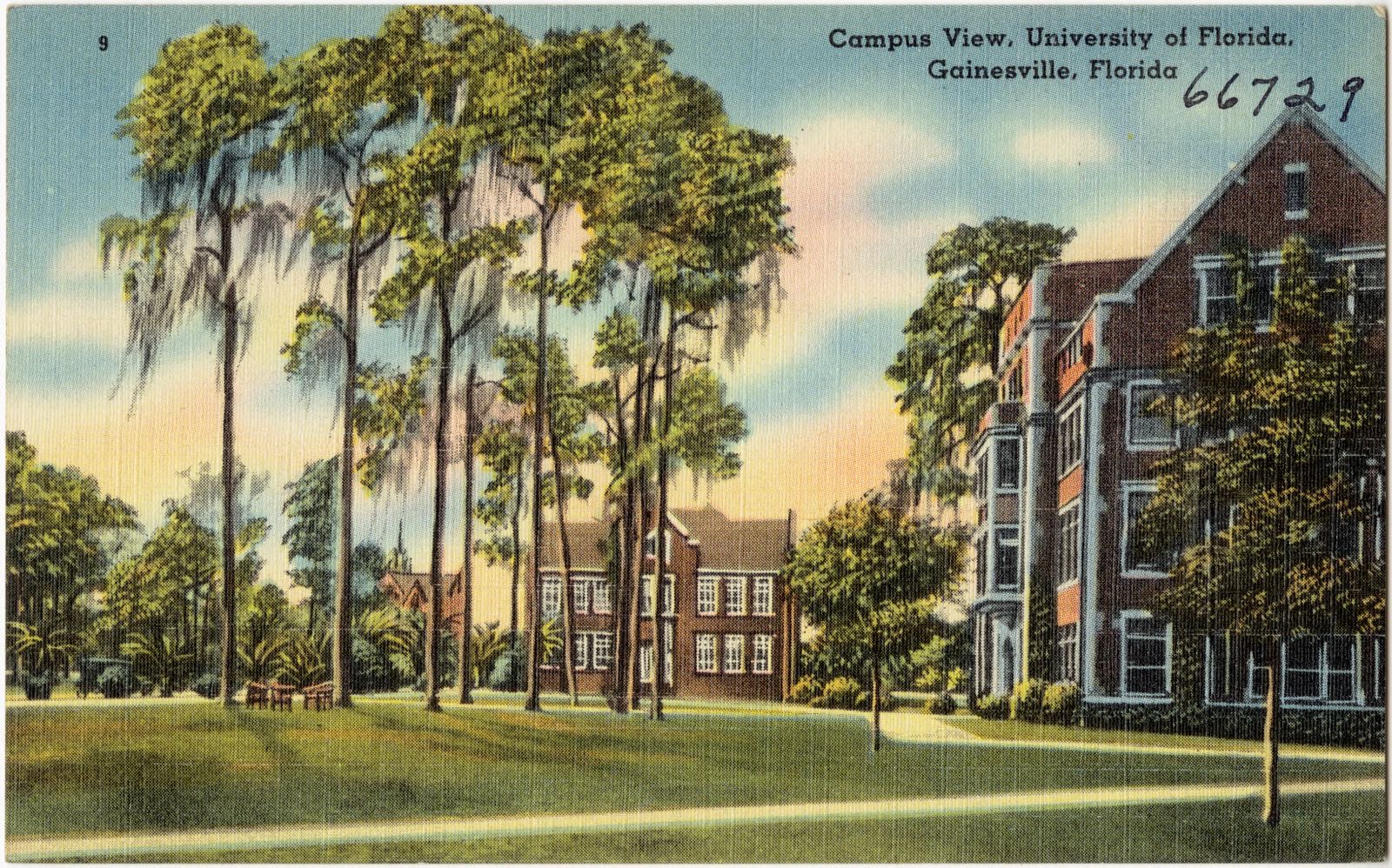 Campus view, University of Florida, Gainesville, Florida, Boston Public Library - undated