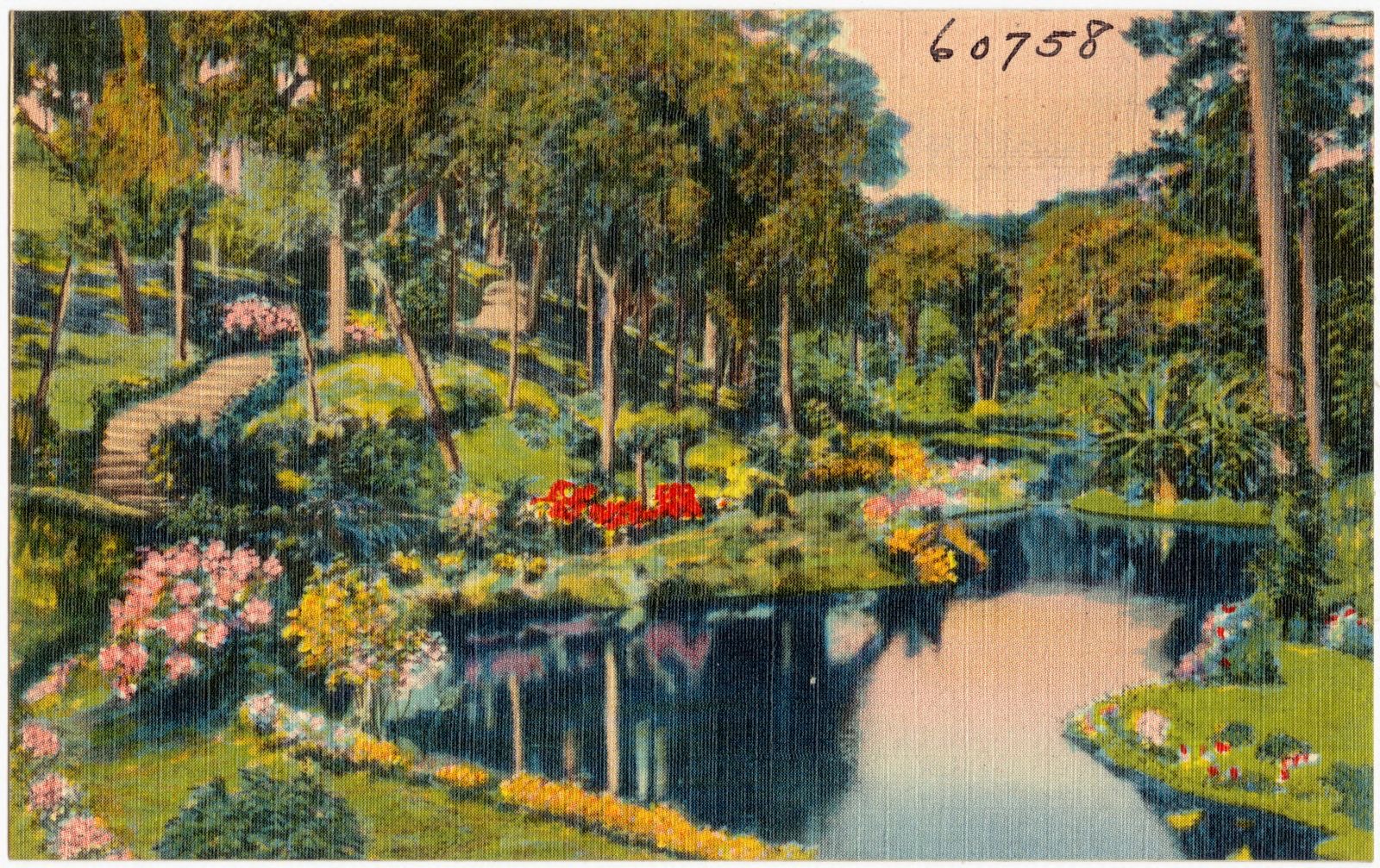 Ravine Gardens, Palatka, Florida, Boston Public Library - undated
