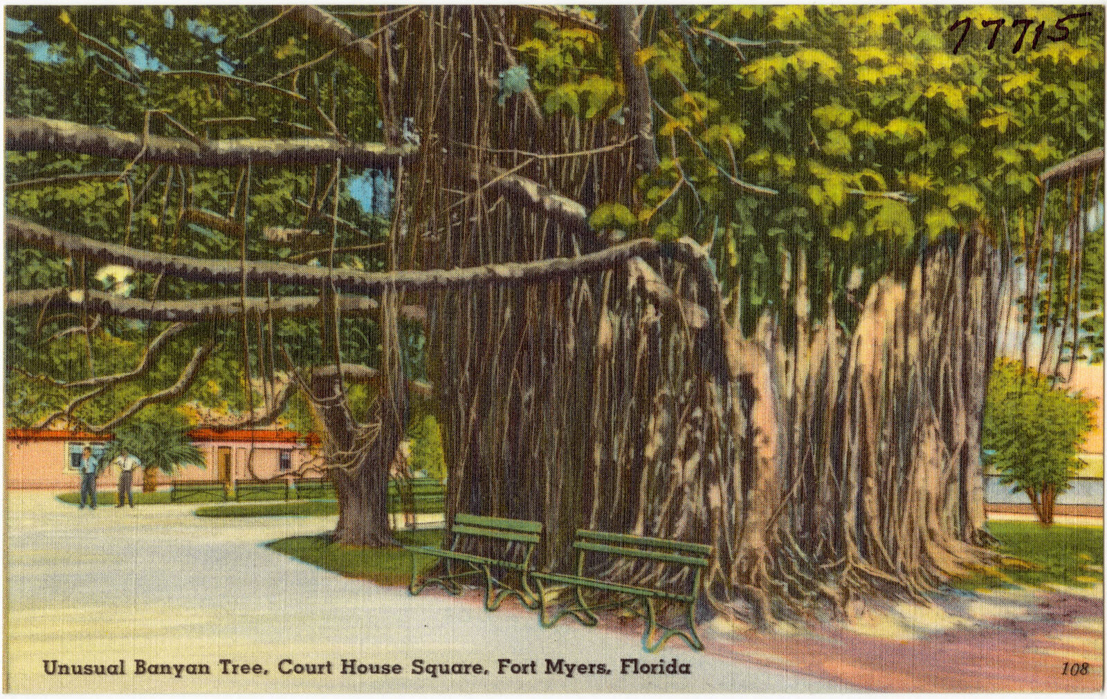 Unusual banyan tree, court house square, Fort Myers, Florida, Boston Public Library - undated