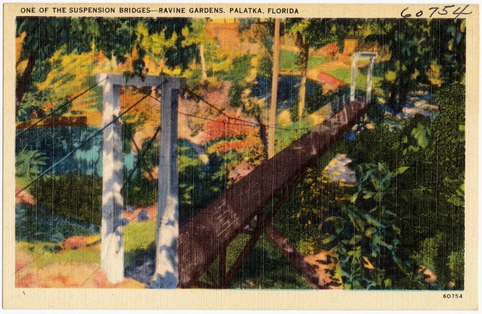 One of suspension bridges- Ravine Gardens, Palatka, Florida, Boston Public Library - undated