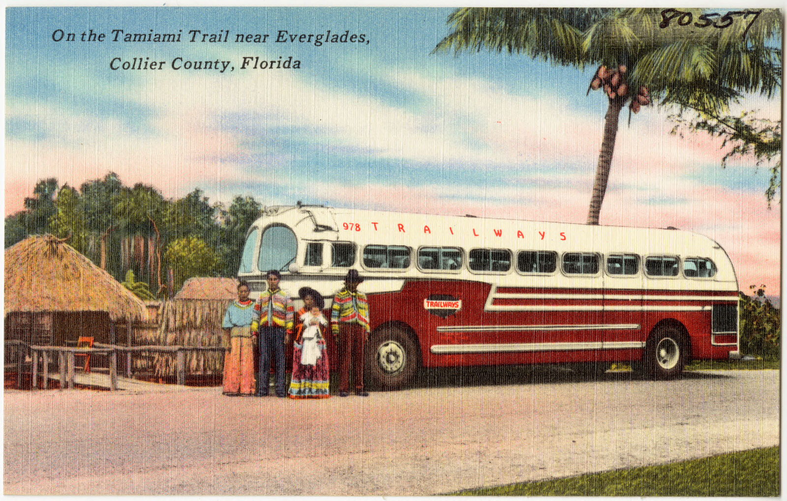 On the Tamiami Trail near everglades, Collier County, Florida, Boston Public Library - undated