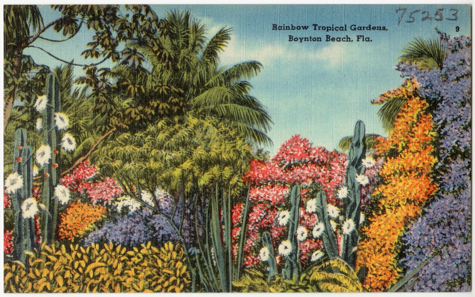 Rainbow Tropical Gardens, Boynton Beach, Fla., Boston Public Library - undated