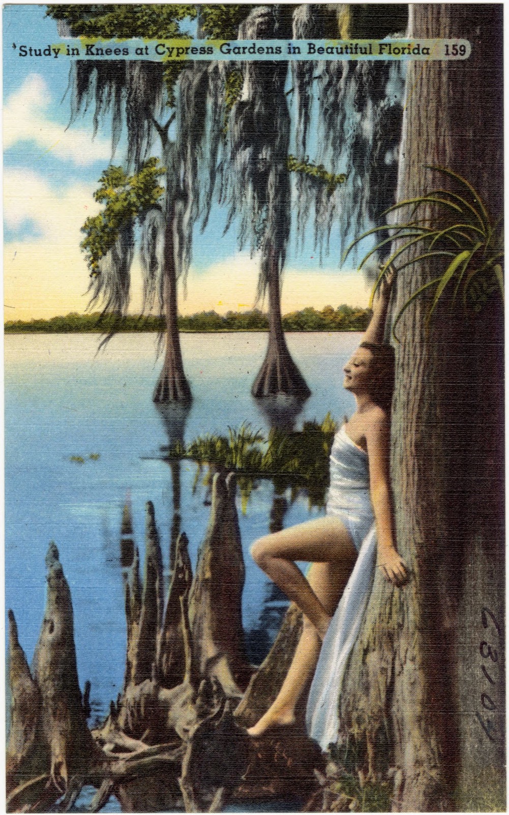 Study in knees at Cyprus Gardens in beautiful Florida, Boston Public Library - undated