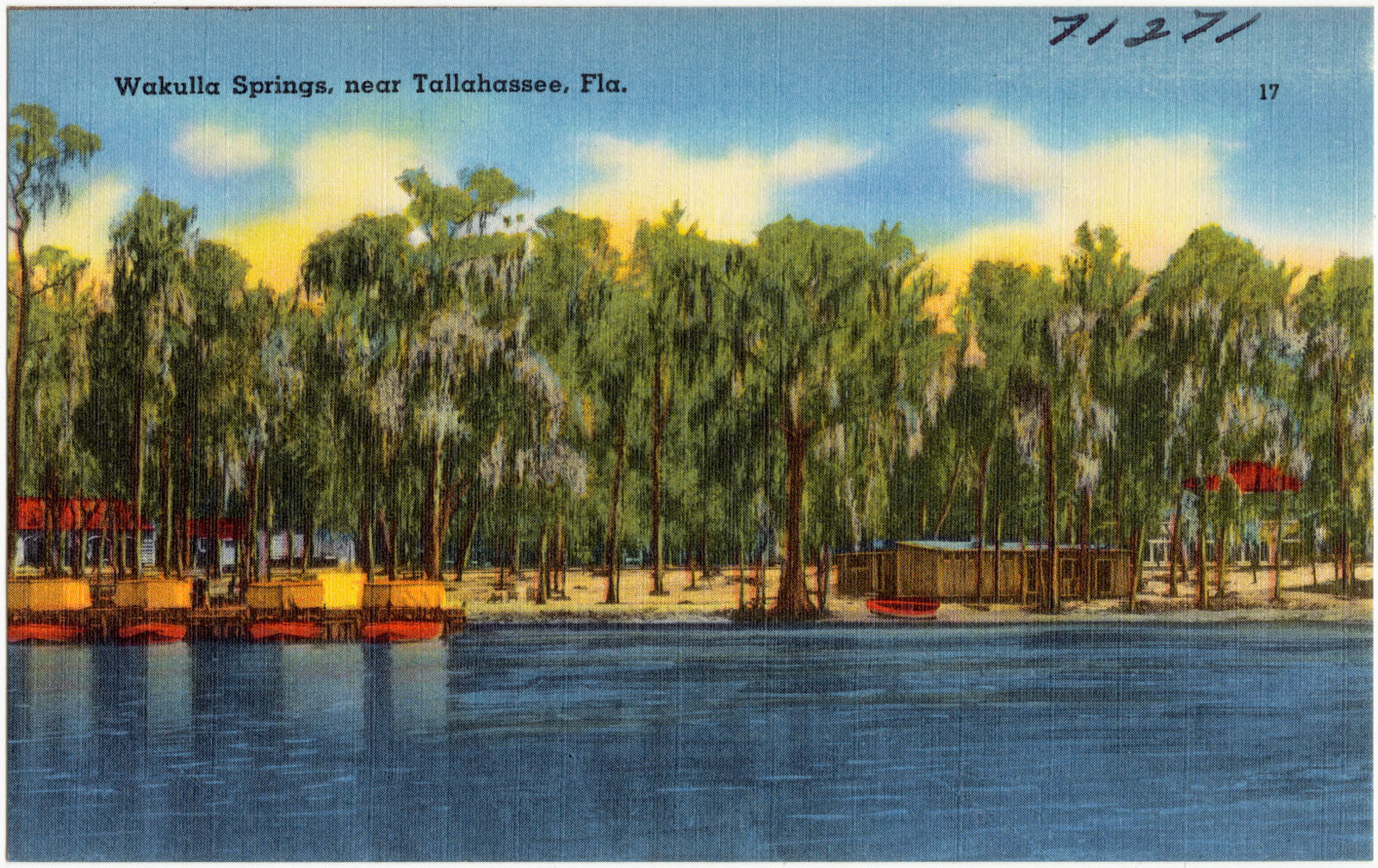 Wakulla Springs, near Tallahassee, Fla., Boston Public Library - undated