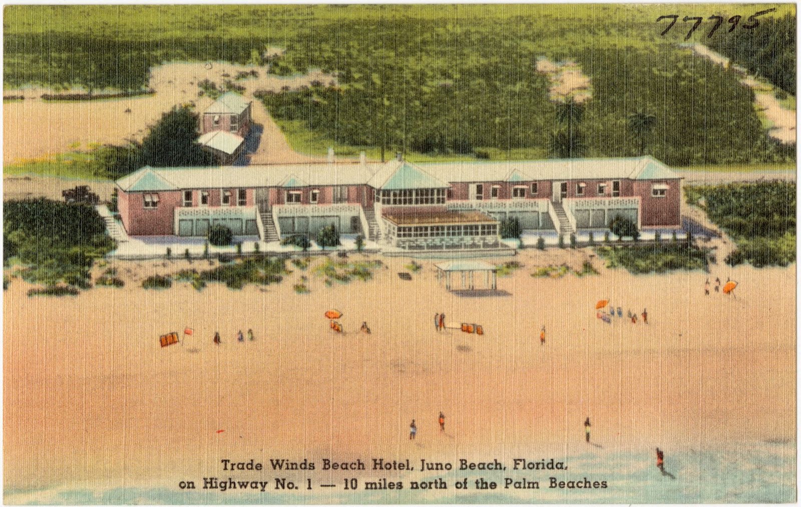 Trade Winds Beach Hotels, Juno Beach, Florida, on Highway No. 1- 10 miles north of the Palm Beaches, Boston Public Library - undated