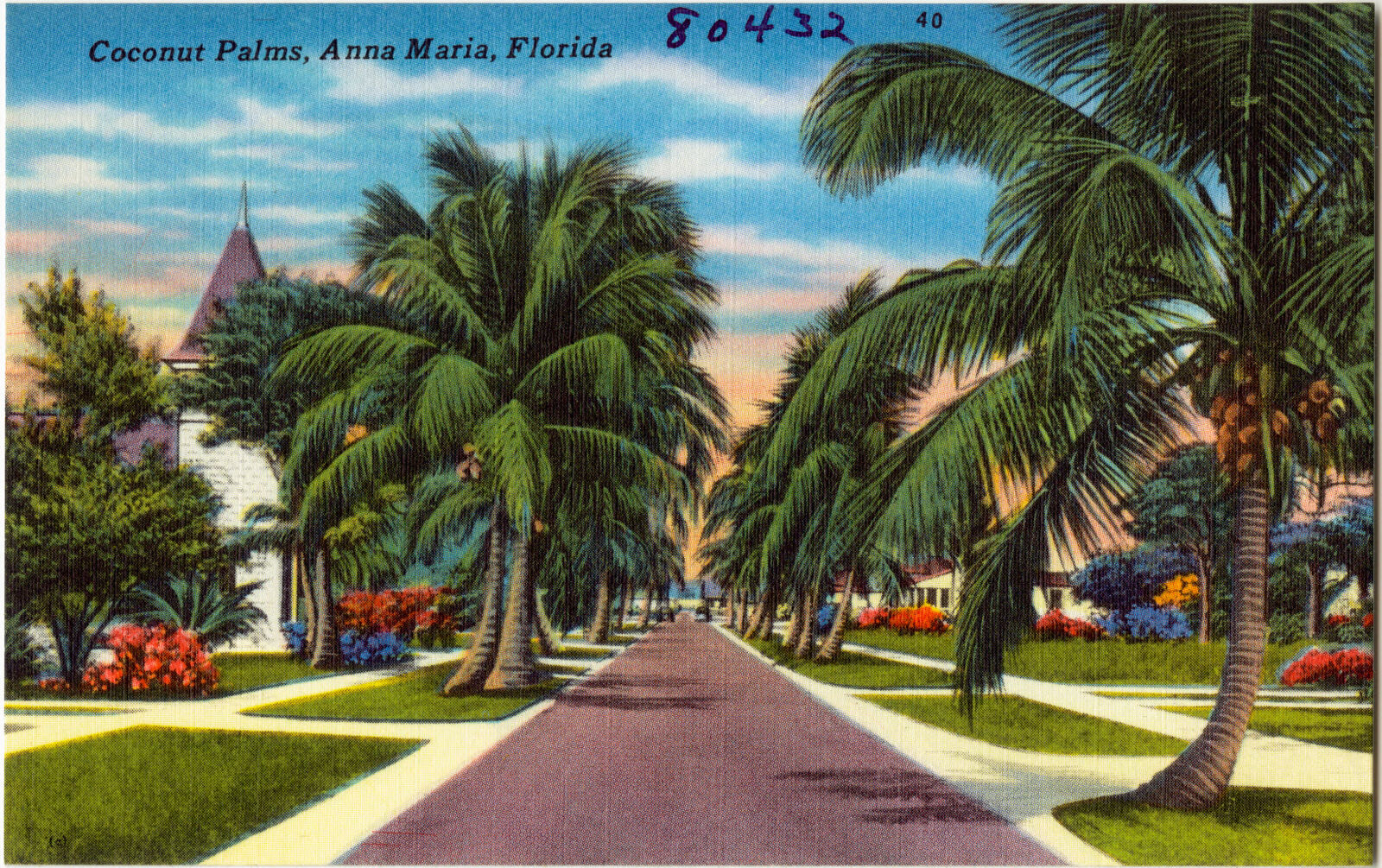 Coconut palms, Anna Maria, Florida, Boston Public Library - undated