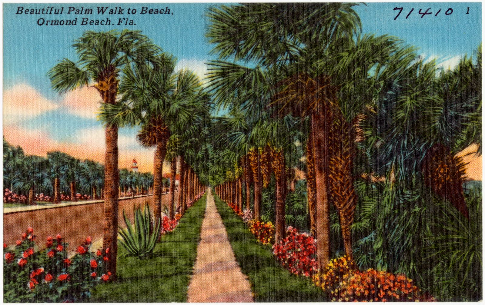 Beautiful palm walk to beach, Ormond Beach, Florida, Boston Public Library - undated