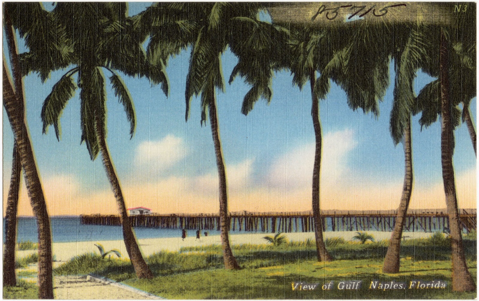 View of gulf, Naples, Florida, Boston Public Library - undated