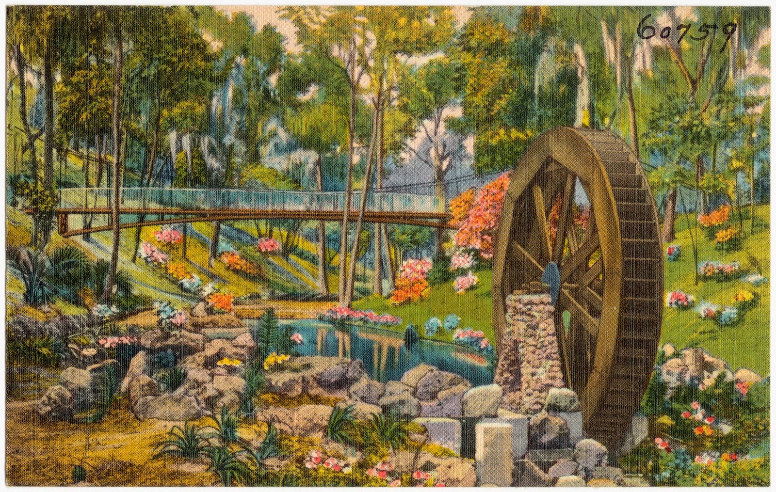 Ravine Gardens, Palatka, Florida, Boston Public Library - undated