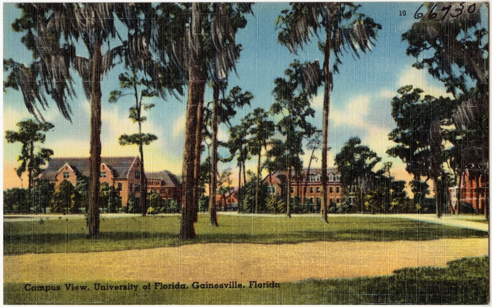 Campus view, University of Florida, Gainesville, Florida, Boston Public Library - undated