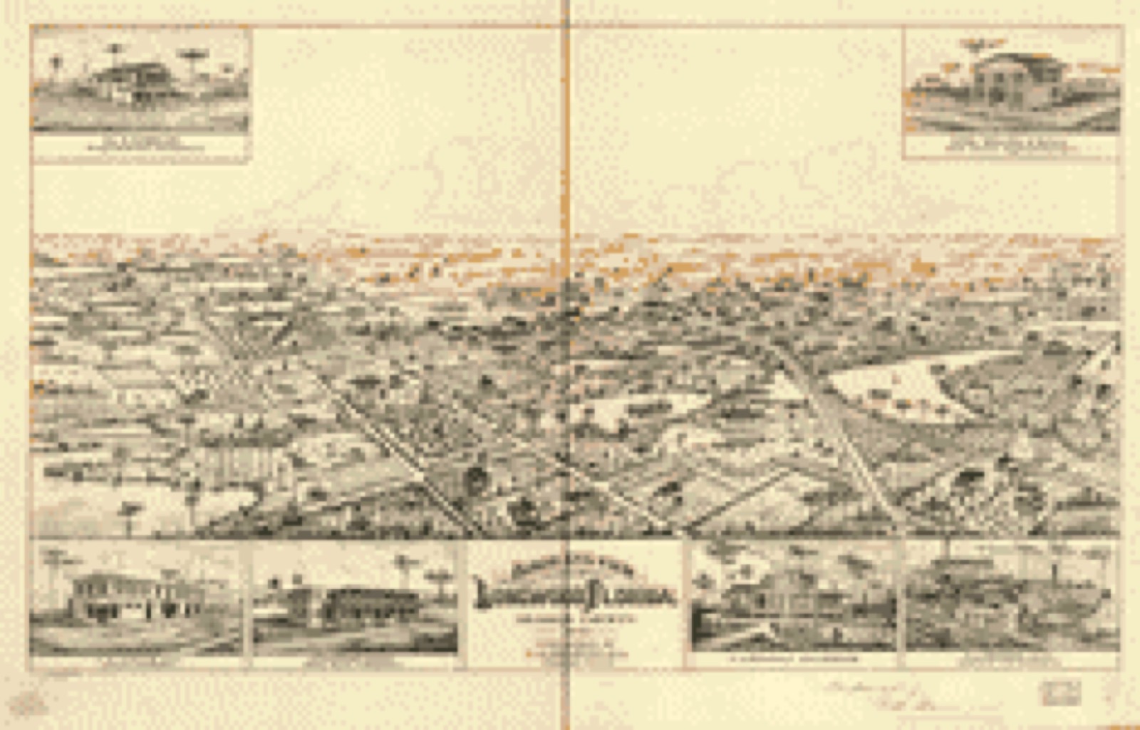 Bird's-eye view, 1885 - Bird's eye view of Longwood, Florida, Orange County 1885