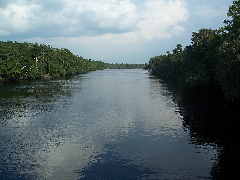 Photograph of City of Hawkinsville