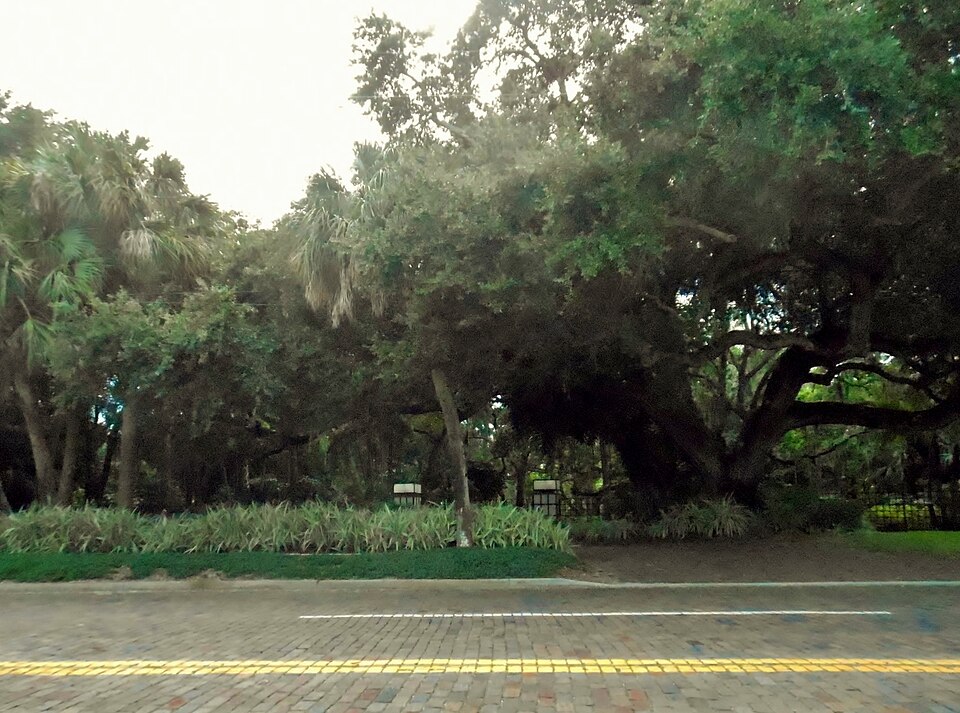 Photograph of Maurice and Thelma Rothman House
