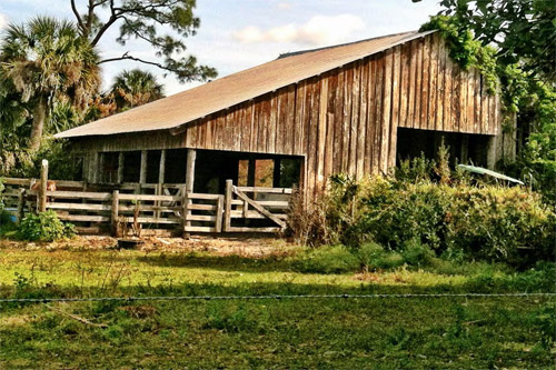 Photograph of Treasure Hammock Ranch Farmstead