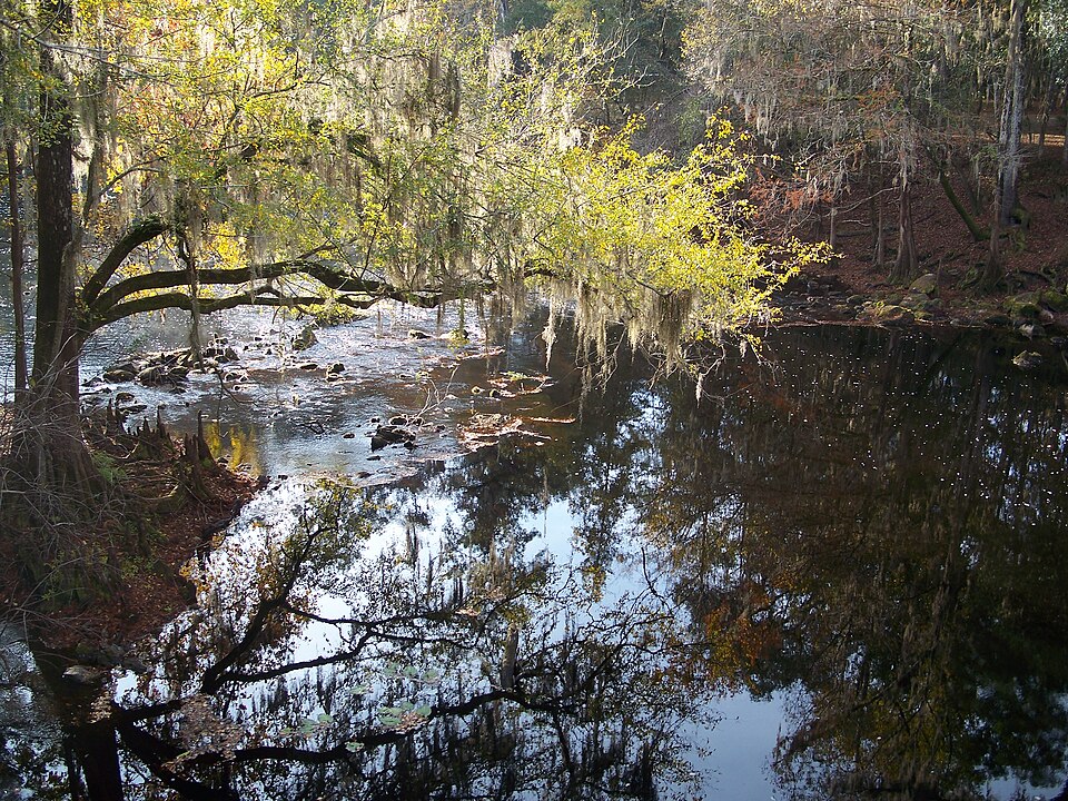 Photograph of O'Leno State Park