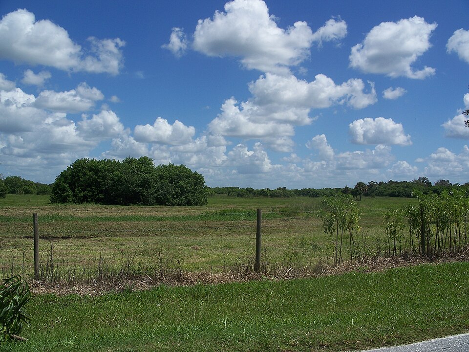 Photograph of Okeechobee Battlefield