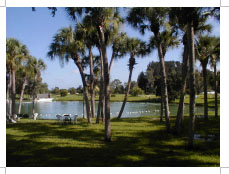 Photograph of Warm Mineral Springs