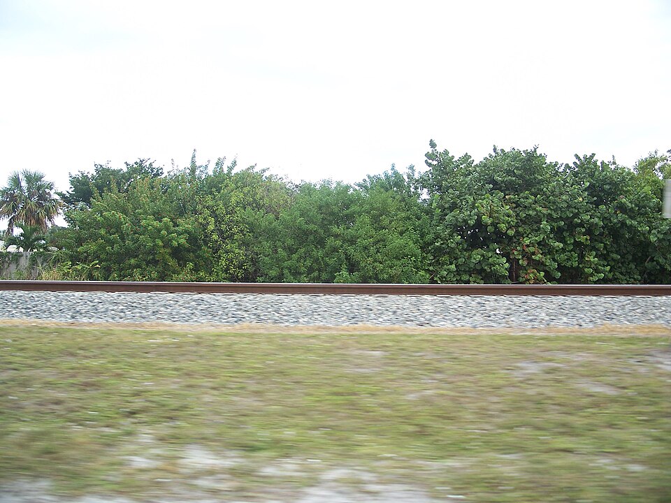Photograph of Sample Estate
