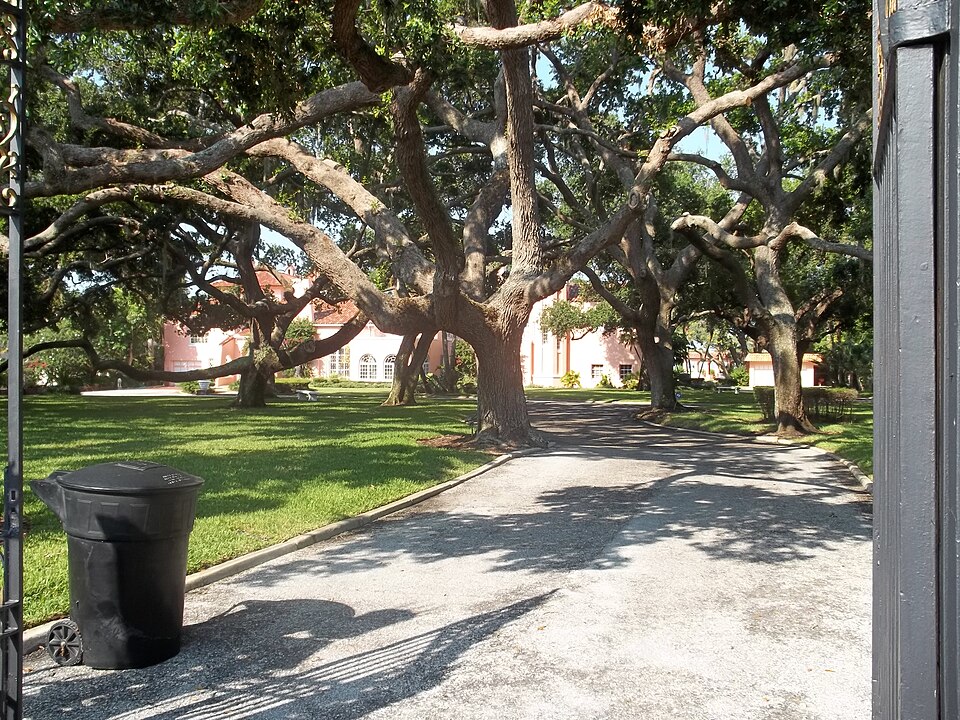 Photograph of Casa De Muchas Flores