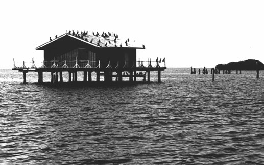 Photograph of Fish Cabin at White Rock Shoals