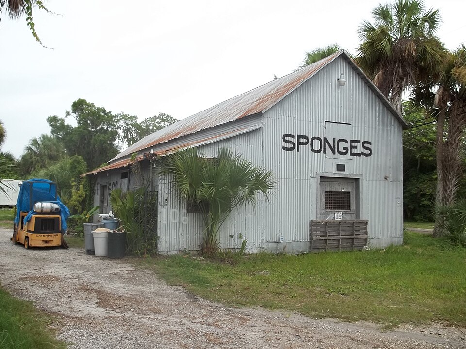 Photograph of E. R. Meres Sponge Packing House
