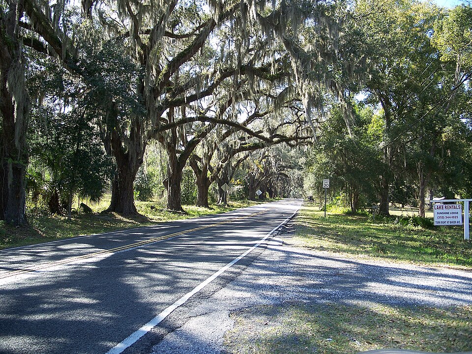 Photograph of Floral City Historic District