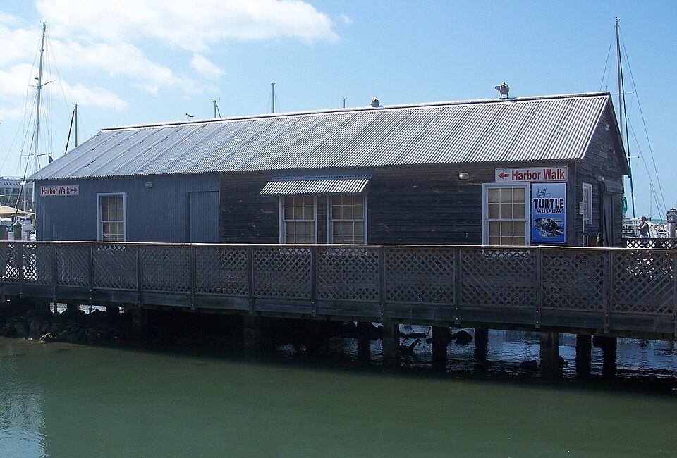 Photograph of Thompson Fish House, Turtle Cannery and Kraals