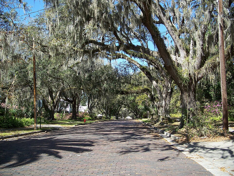 Photograph of South Brooksville Avenue Historic District