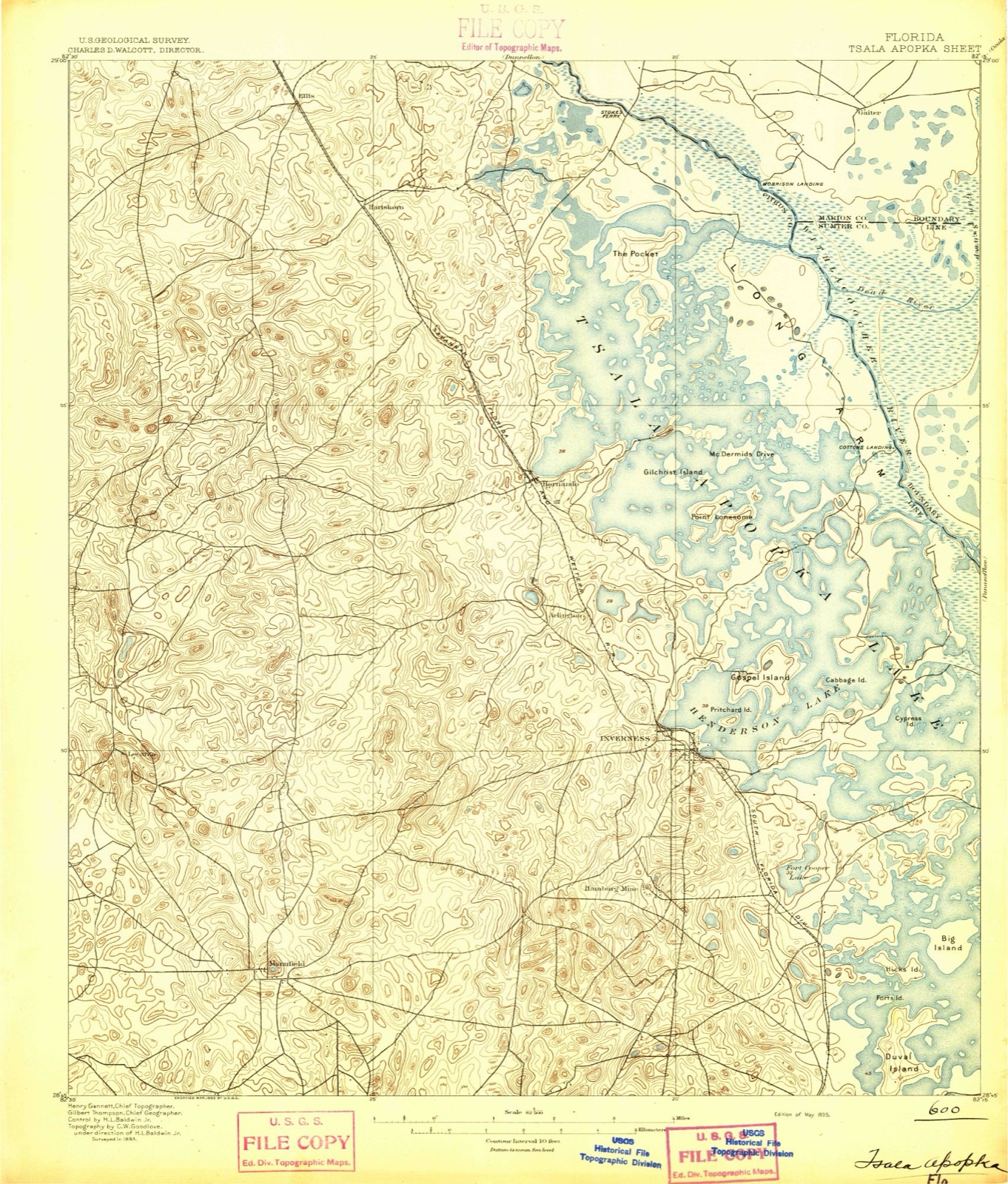 Topographic sheet of Landrum, surveyed 1895