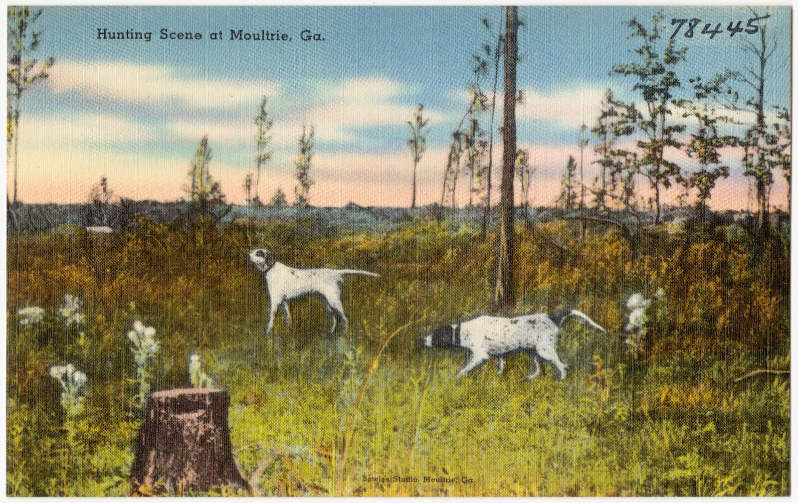 Hunting scene at Moultrie, Ga., Boston Public Library - undated