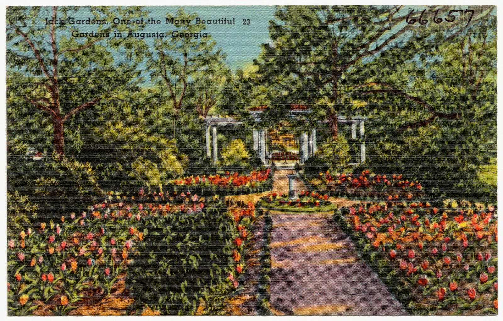 Jack Gardens, one of the many beautiful gardens in Augusta, Georgia, Boston Public Library - undated